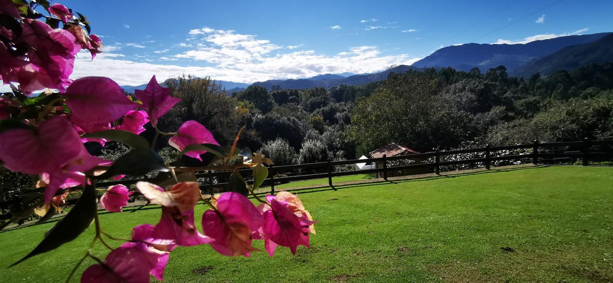 El Corral Del Acebo Vendégház Nueva De Llanes Kültér fotó